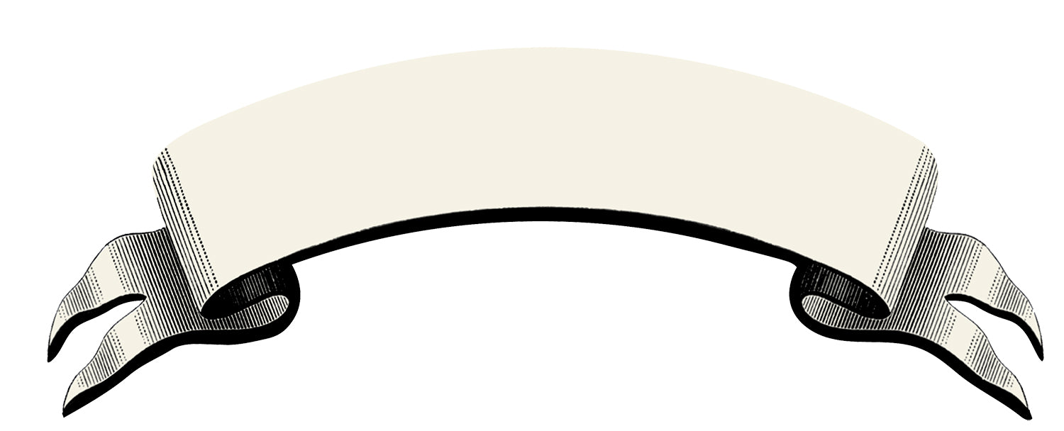 KP536.jpg